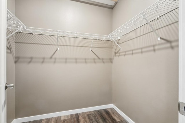 spacious closet with dark wood-style flooring