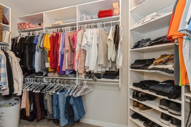 view of walk in closet