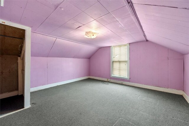 additional living space with lofted ceiling, carpet, and baseboards