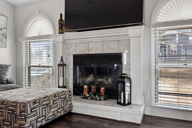 room details featuring a tiled fireplace and wood finished floors