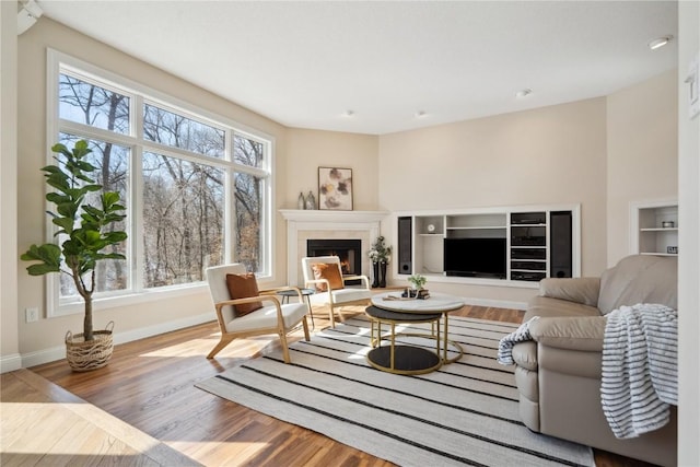 living area with plenty of natural light, a fireplace, baseboards, and wood finished floors