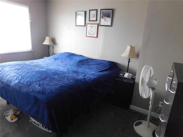 954 Monroe Ave, Tipton, IA 52772 - bedroom featuring carpet floors
