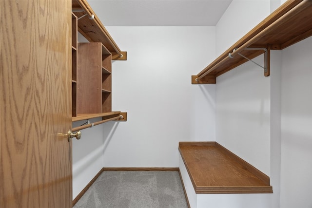 spacious closet with carpet flooring