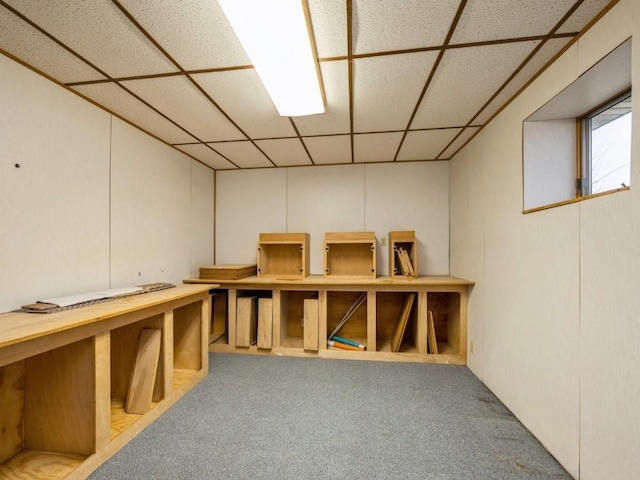 basement with carpet floors and a drop ceiling