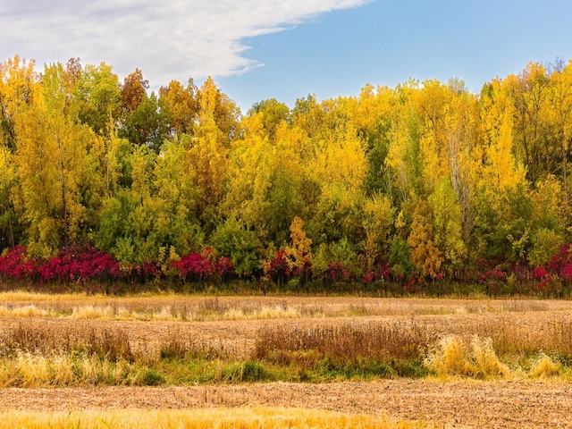 view of landscape with a forest view