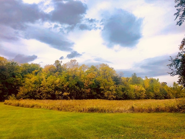 view of landscape with a wooded view