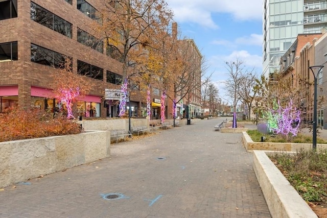 view of road with curbs