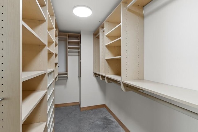 walk in closet featuring carpet floors