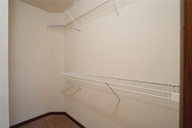 spacious closet featuring carpet flooring