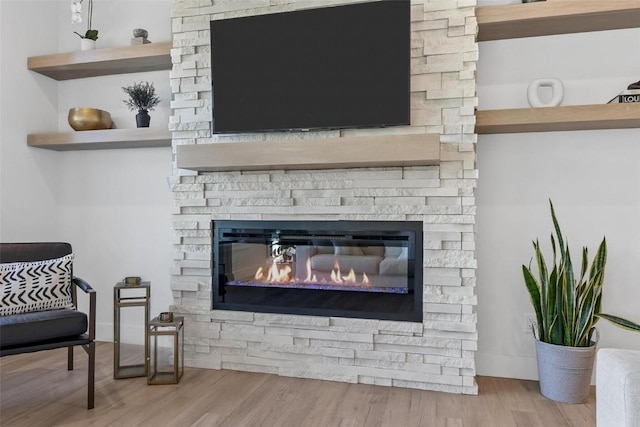 room details with baseboards, wood finished floors, and a stone fireplace