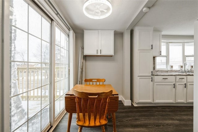 dining space featuring baseboards and dark wood-style flooring