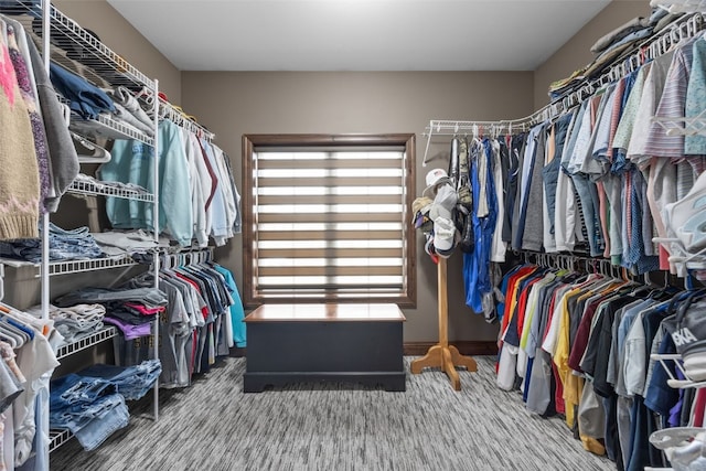 walk in closet with carpet floors