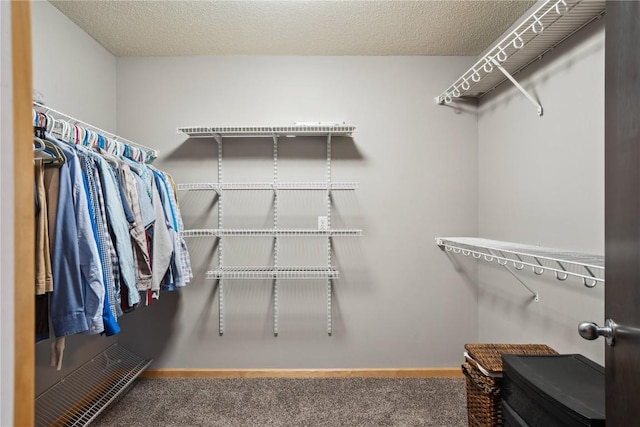 spacious closet featuring carpet