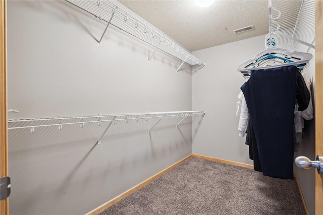 spacious closet featuring carpet and visible vents