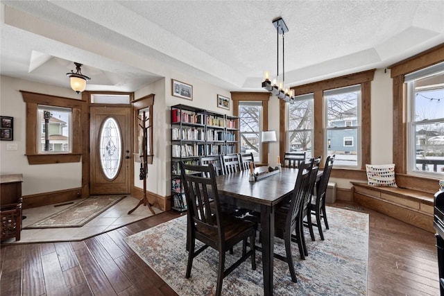 dining room with a tray ceiling, wood-type flooring, and a wealth of natural light