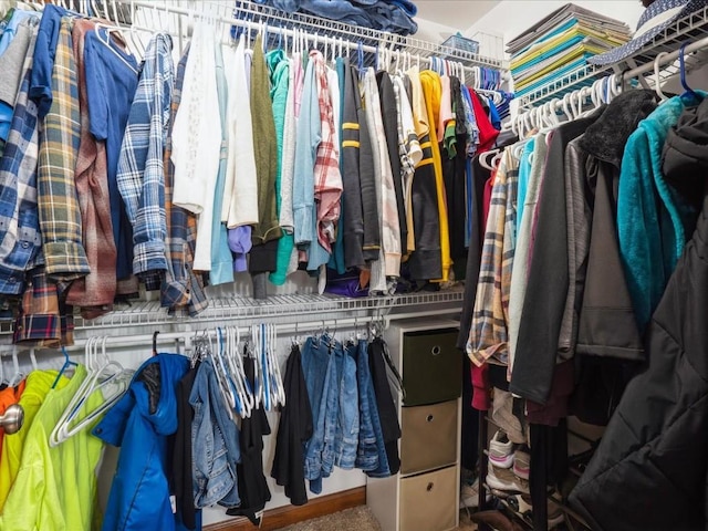 view of spacious closet