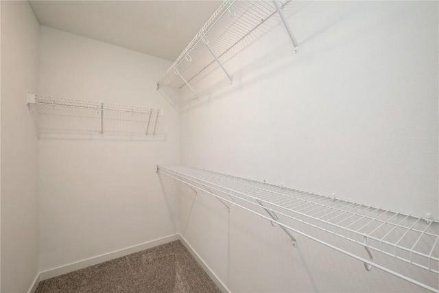 6166 Cope Dr, Marion, IA 52302 - walk in closet with carpet flooring