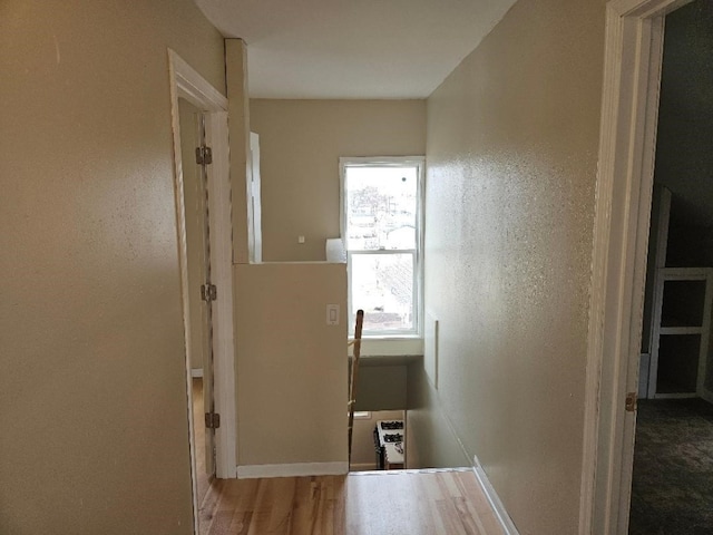 hallway with wood finished floors