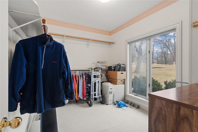 walk in closet featuring carpet floors