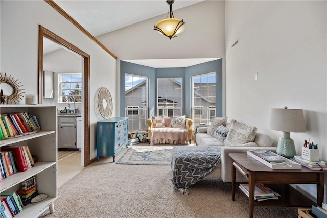 3260 Willowridge Rd Unit D, Marion, IA 52302 - sitting room featuring healthy amount of natural light and carpet