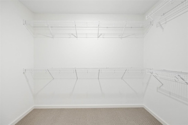 spacious closet with carpet