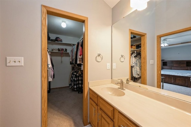 bathroom with vanity and a walk in closet