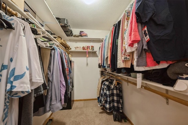 spacious closet featuring carpet flooring