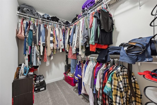 walk in closet with carpet floors