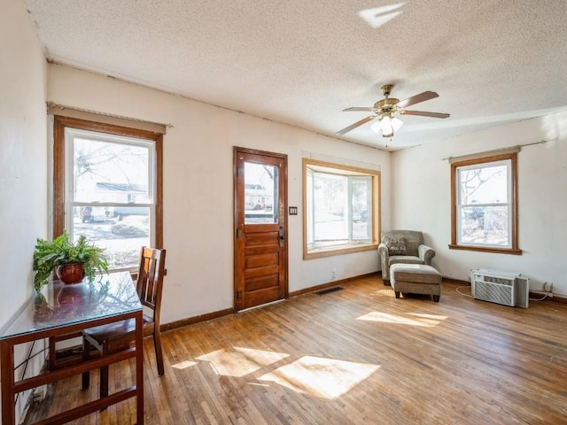 foyer with baseboards, a healthy amount of sunlight, and light wood-style flooring