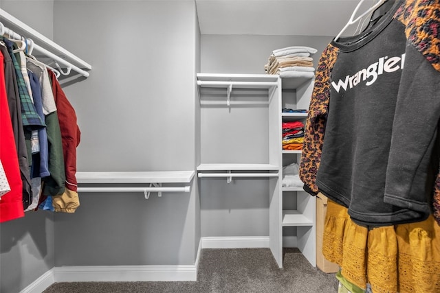 spacious closet featuring carpet