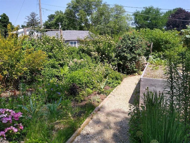 view of yard featuring a garden