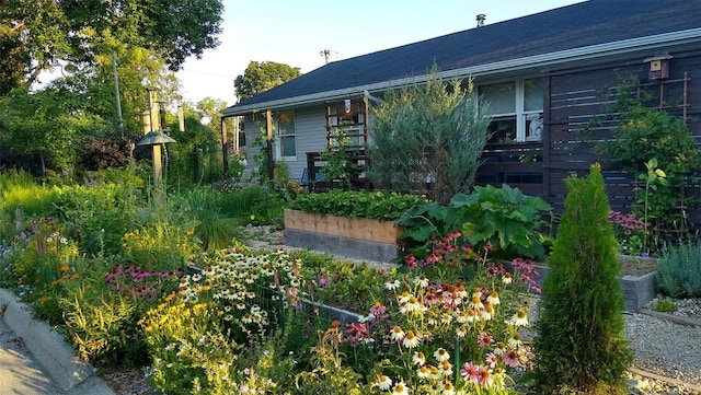 exterior space with a vegetable garden