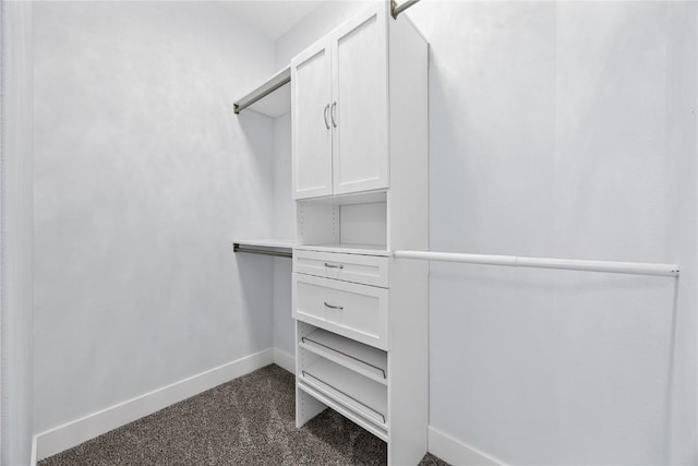 spacious closet featuring dark carpet