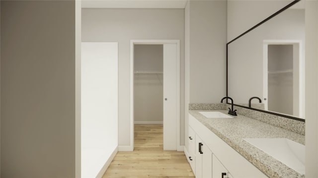 bathroom featuring double vanity, wood finished floors, a walk in closet, and a sink