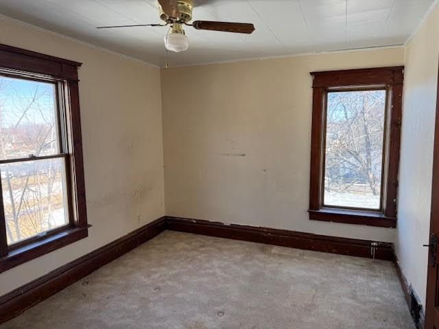 empty room with baseboards, carpet floors, ceiling fan, and ornamental molding