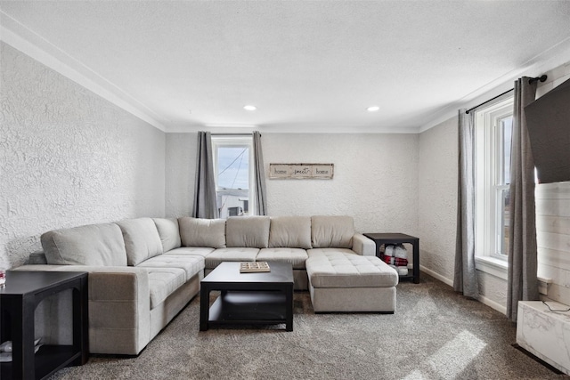 carpeted living room with ornamental molding, baseboards, and a textured wall