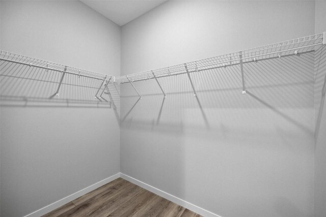 4177 Justified Dr, Marion, IA 52302 - walk in closet with wood finished floors