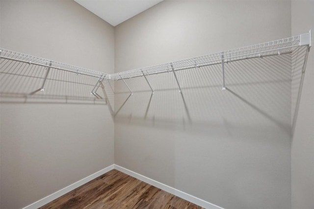 4193 Justified Dr, Marion, IA 52302 - spacious closet featuring wood finished floors