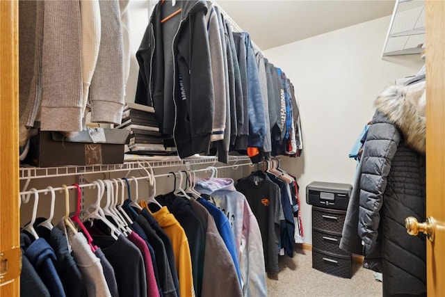 spacious closet featuring carpet floors