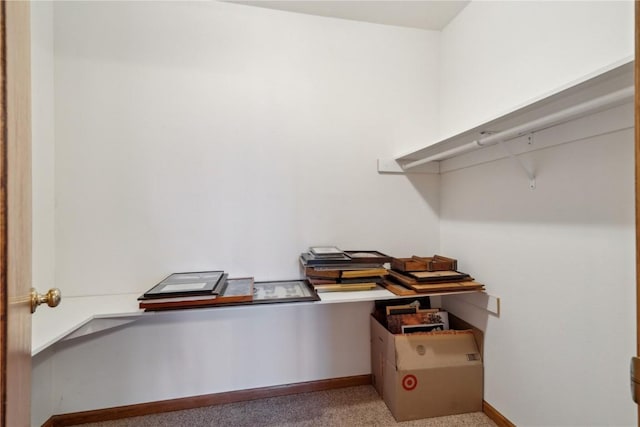 walk in closet featuring carpet floors