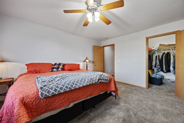 bedroom featuring a ceiling fan, carpet, baseboards, a closet, and a walk in closet