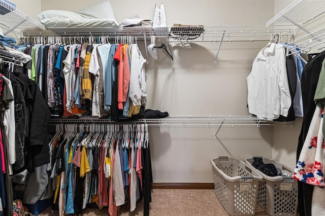 spacious closet featuring carpet