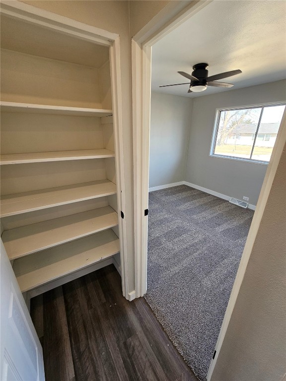 view of closet