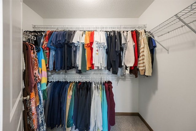 view of spacious closet