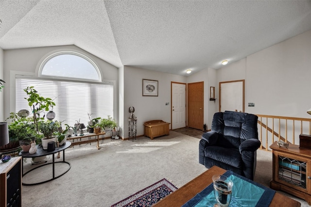 living area featuring a textured ceiling, lofted ceiling, and carpet floors