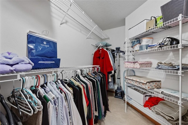 spacious closet with carpet floors