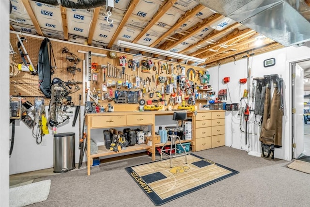 basement featuring a workshop area and carpet