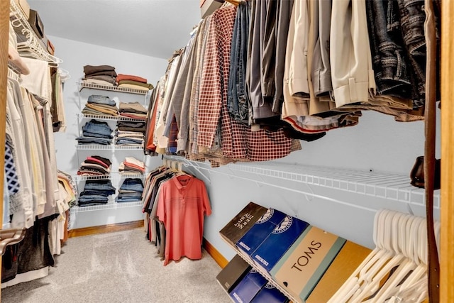 spacious closet featuring carpet floors