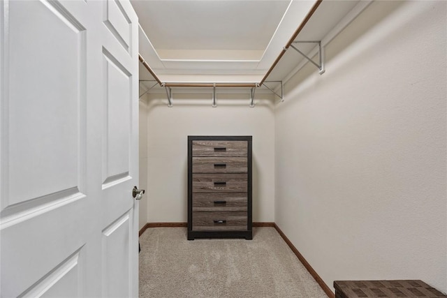 walk in closet featuring carpet