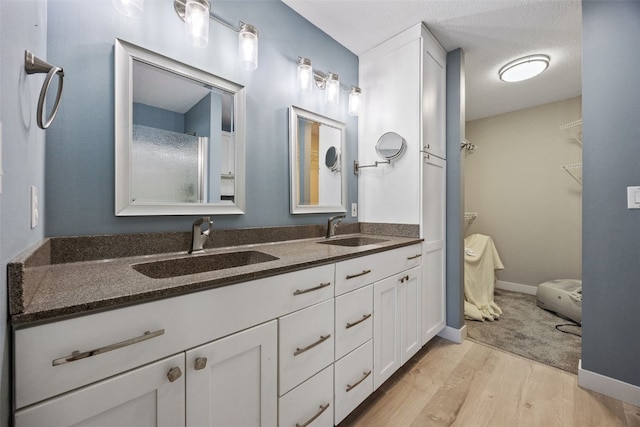 bathroom with double vanity, a spacious closet, wood finished floors, and a sink